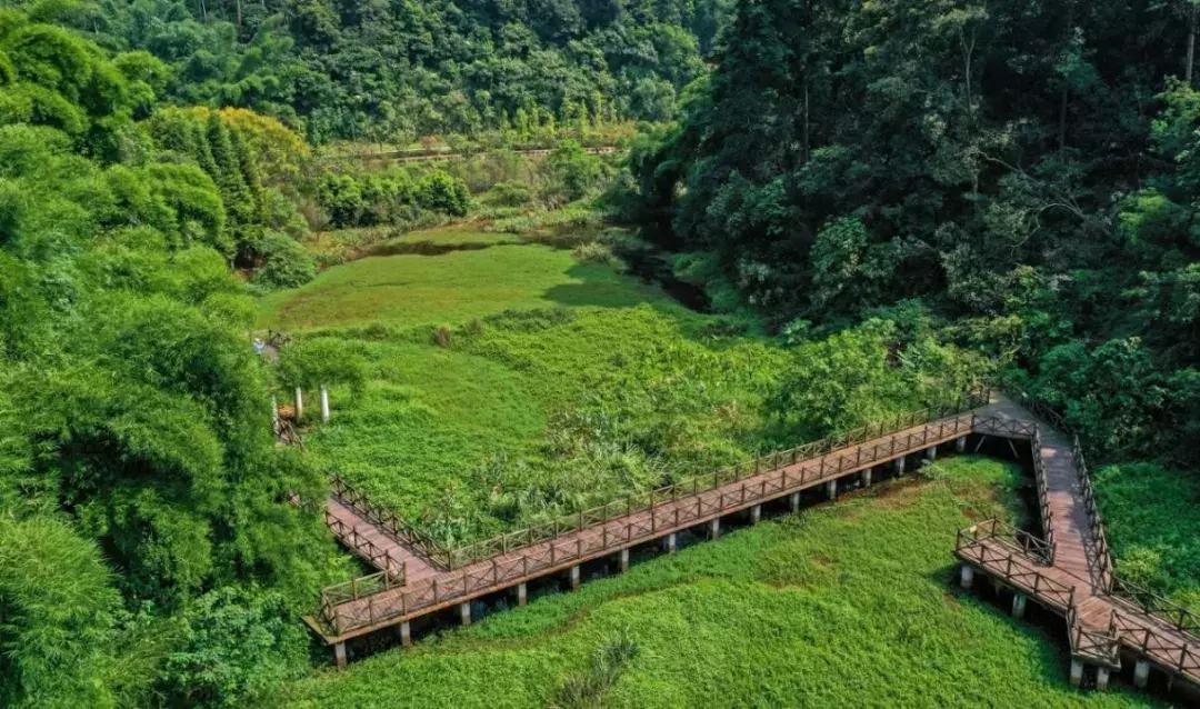 乐山市生态文明,庆祝新中国成立70周年特辑宣讲