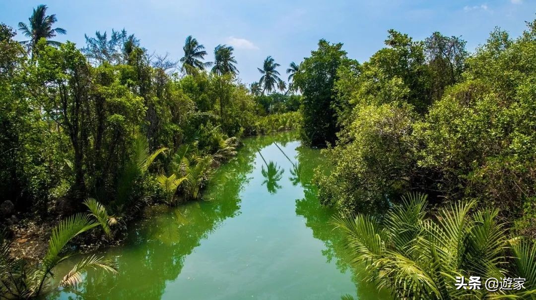 泰国哪些海岛值得去旅游,泰国岛屿排名前十海岛