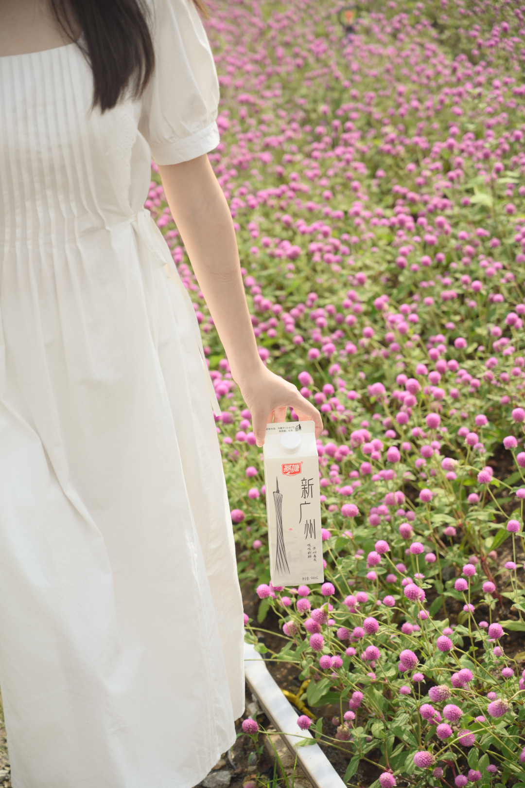 今时今日，连燕塘牛奶也有「小蛮腰」了？