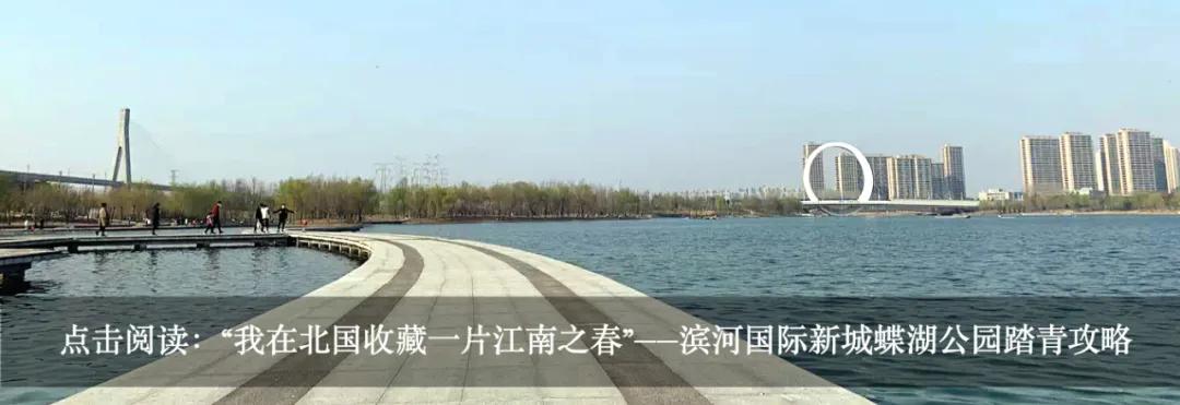 多图直击：即将交付的郑州荷湖片区，能否成为新晋网红打卡地