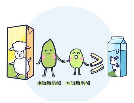 国庆节乘坐飞机时可以给宝宝喂奶粉吗？羊奶粉推荐排行推荐