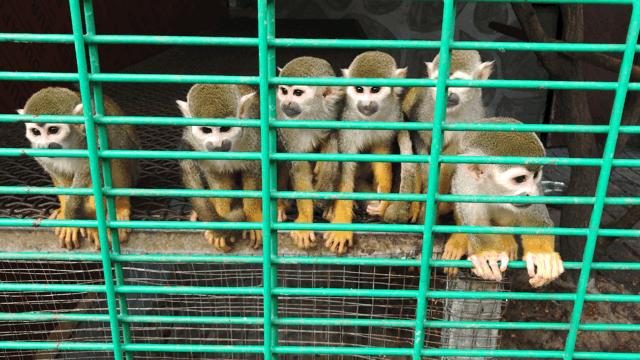 冰雪奇缘的美丽瞬间,冰雪奇缘照进现实