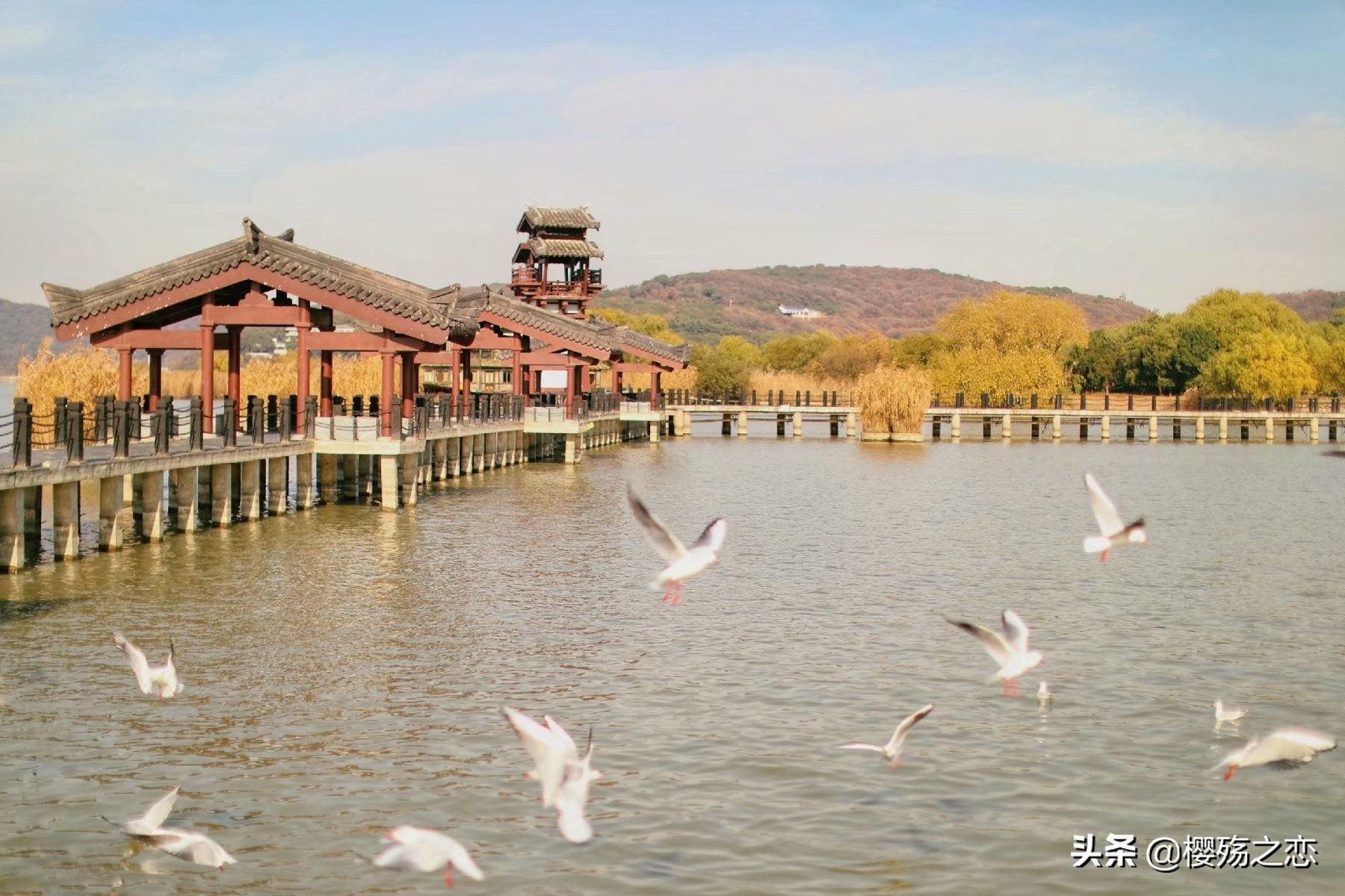 无锡横店影视城,无锡影视城与横店影视城对比