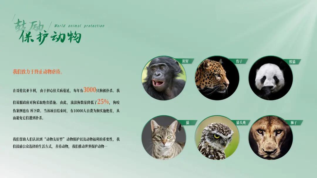 ppt排版设计技巧ppt制作培训教程,ppt多图经典案例排版