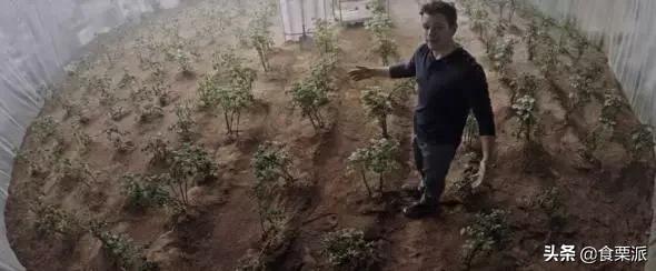 想减肥喝点什么补剂,想减肥吃哪些东西呢