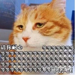 长姨妈痘吃什么调理,长了姨妈痘大概什么时候来姨妈