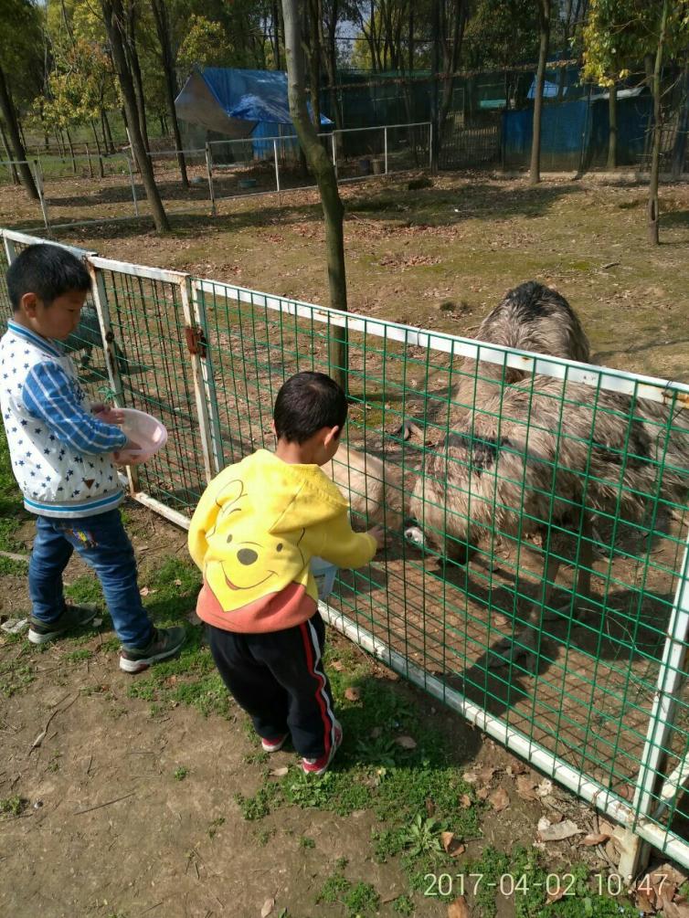 武汉周边自驾游景点排名前十名,武汉周边别墅度假村农家乐