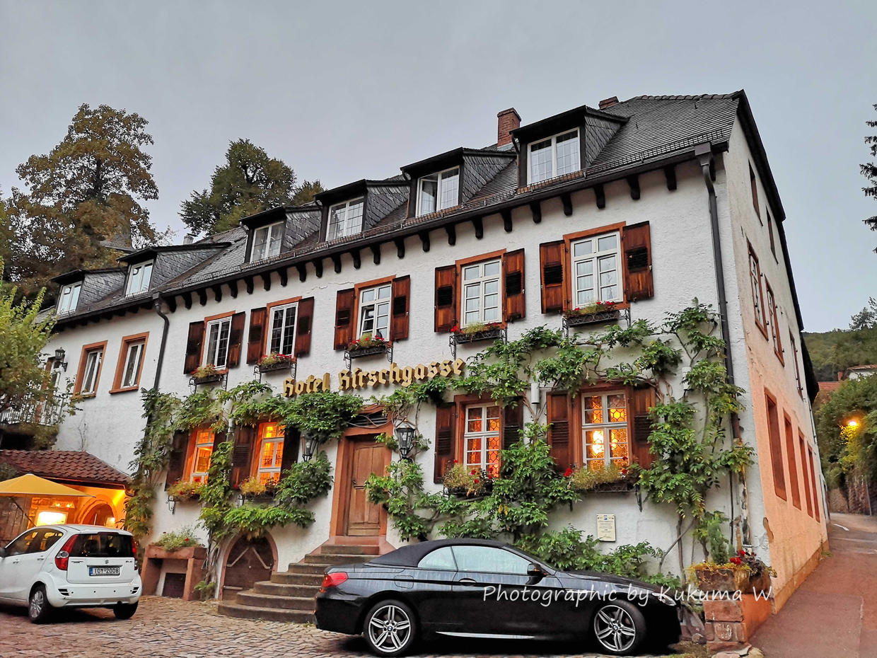 德国旅游住哪个酒店比较好,欧洲旅游住几钻酒店好