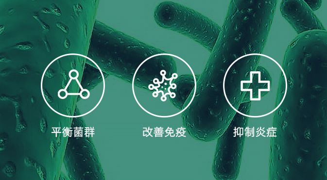 抗敏健齿，你的私人牙周护理专家