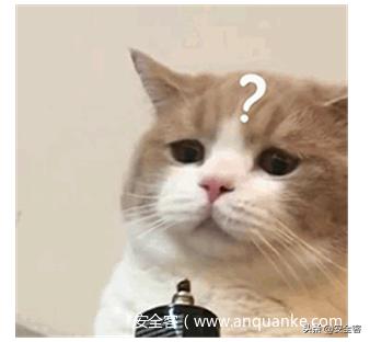 网安人员,网安工作人员