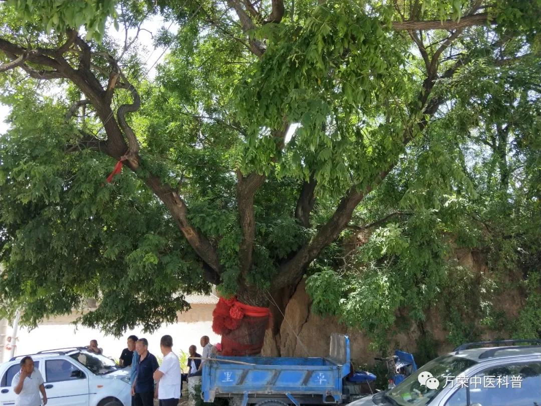 跟我回家在线免费看,跟我回家免费看