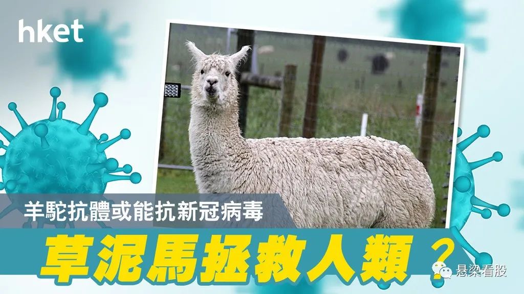 wit原油2005,wit原油与美国原油