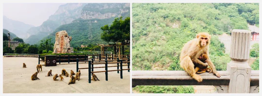 人均100+住到王屋古城下山环水抱/白墙黛瓦小院~只选对的不选贵的