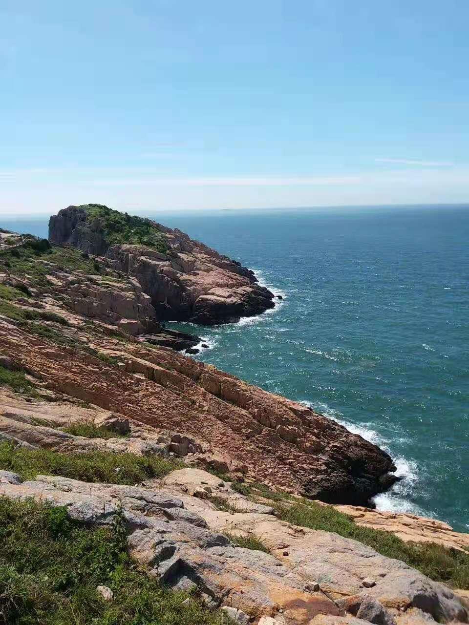 枸杞岛简介,关于宁夏枸杞你了解多少