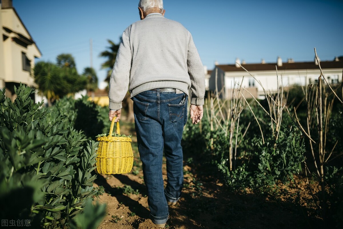 此情可待成追忆,只是当时已惘然——那个弥漫着乡愁的麦香烧饼