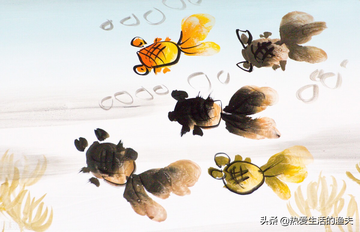 金鱼五六天不喂食会饿死吗,金鱼几天不喂食会不会死掉