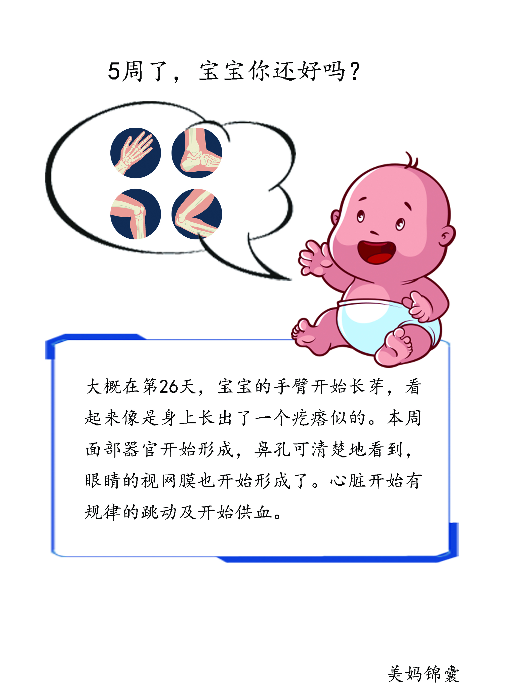 控制饮食的5个小技巧,孕5个月饮食