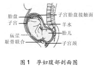 有限元应力分析结果有单位吗,有限元剖分模型