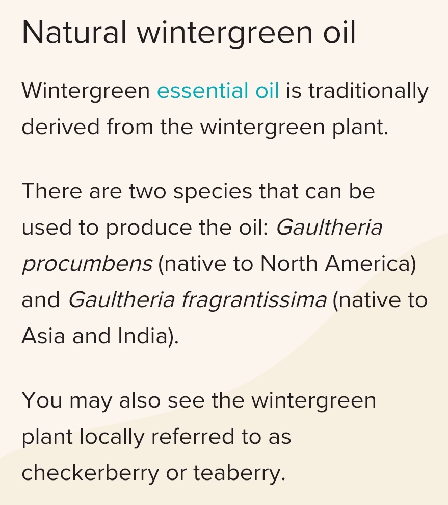 冬青精油的使用方法,冬青精油