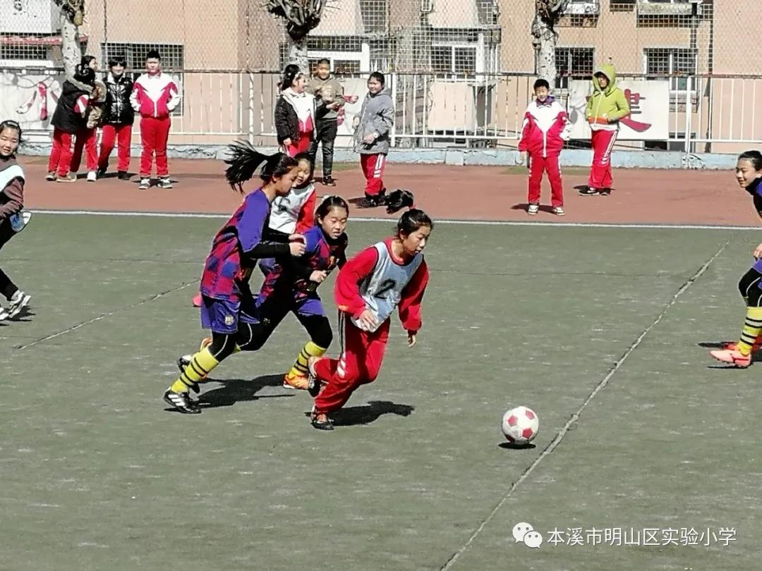 本溪市溪湖区小学生足球联赛,本溪市小学足球联赛视频
