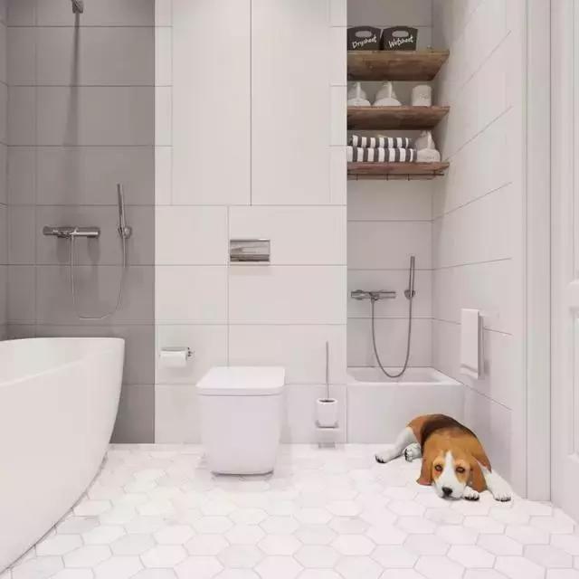 主卧里有暗卫怎么处理,家里比较暗怎么化解