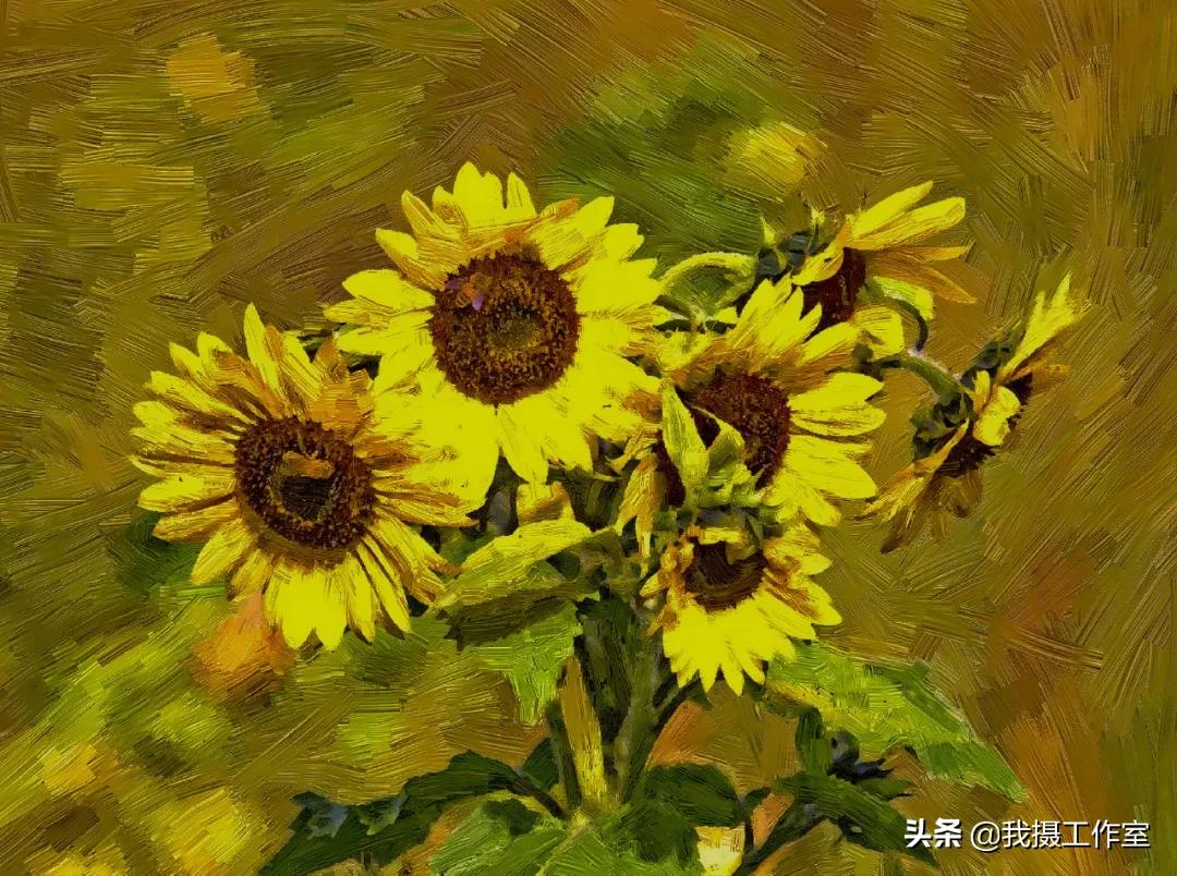 第16届国际摄影艺术展获奖作品,第29届全国摄影艺术展览作品集