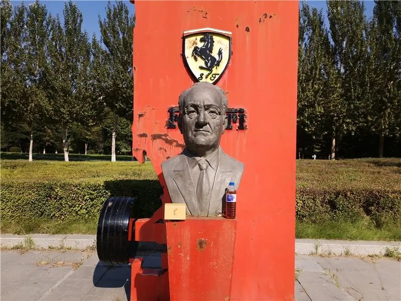 一任天真盈香易泡：冷泡，闷泡，淋泡轮番上阵怎么泡都好喝