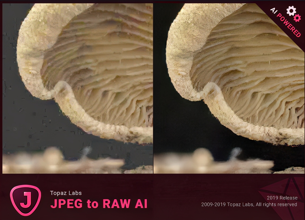免费的处理图片的软件,手机图片处理软件哪个比较好