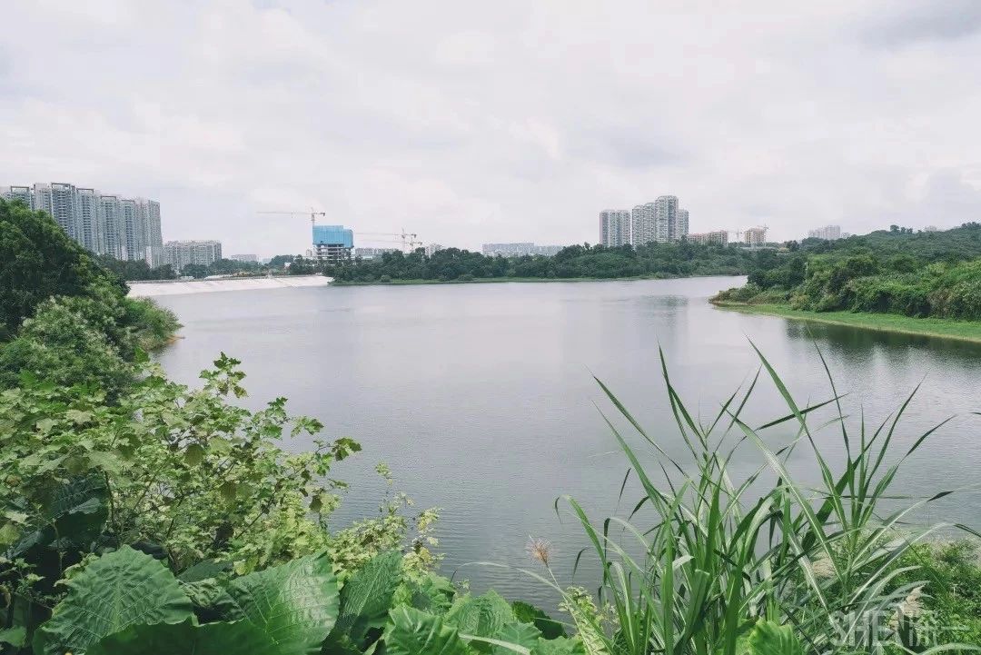 深圳游玩好去处攻略,深圳7个自驾游免费好去处推荐