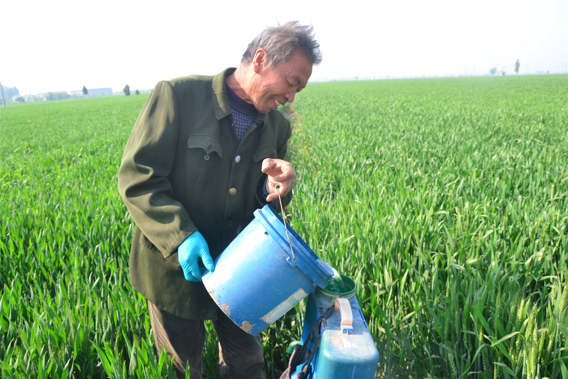 农村人创业的真实经历图片,80后农民创业记录