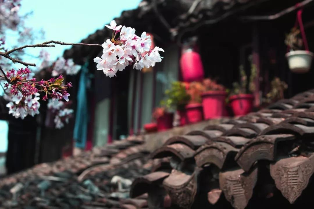 伤感诗词绝句十首,感动人心的十首诗词