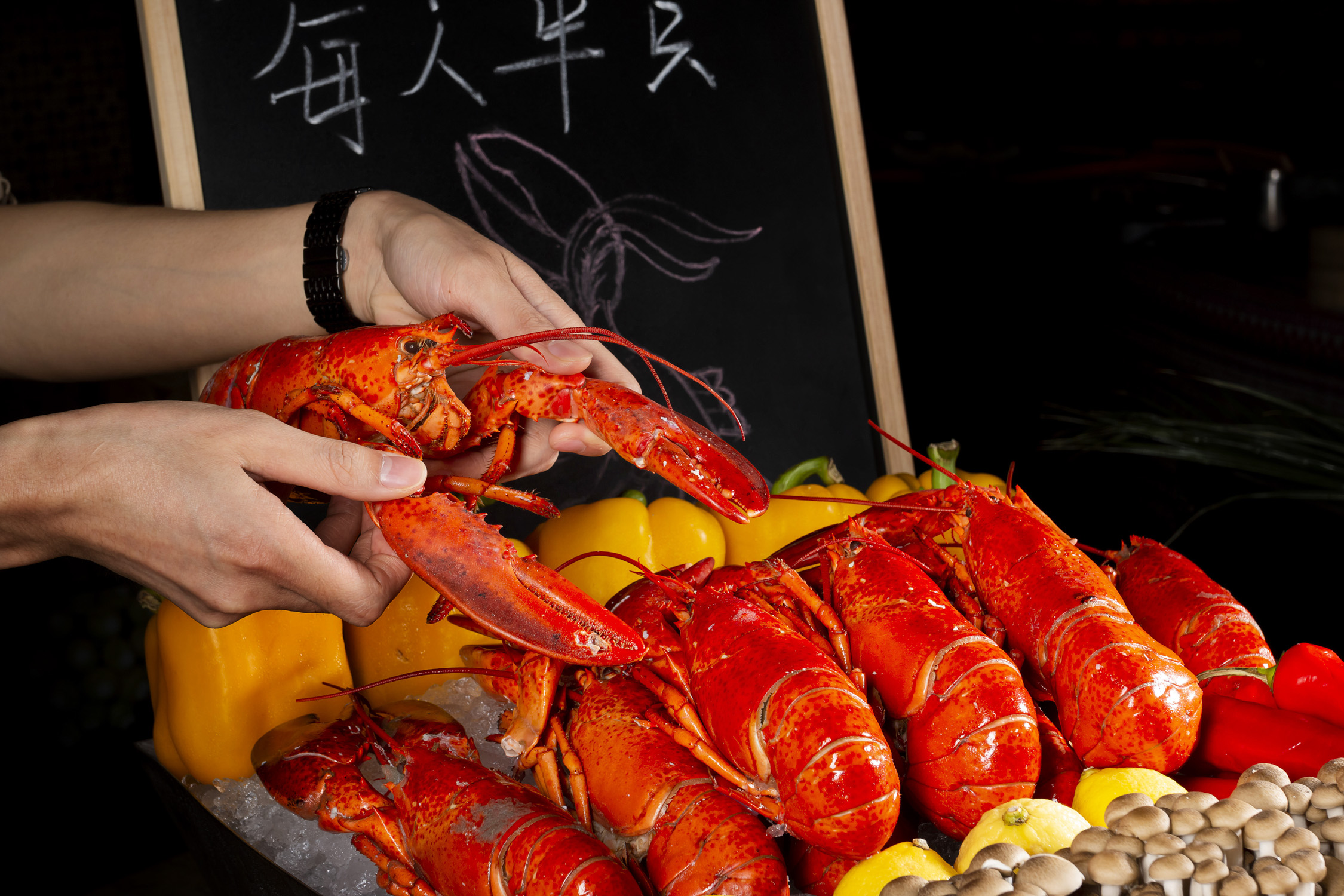 拔草活动感受,拔草喜来登