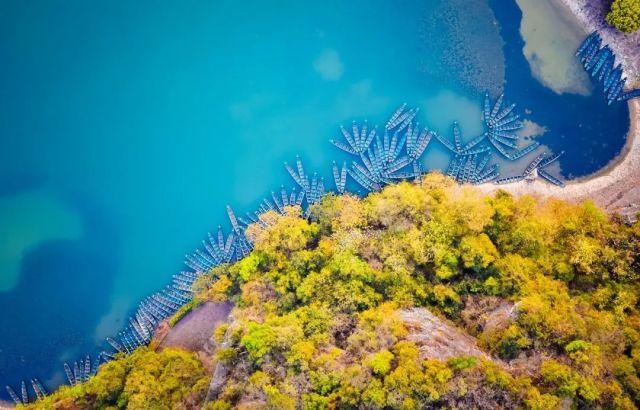 什么是云南品种,什么是云南的特色