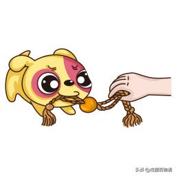 狗狗爱爬护栏,泰迪狗老是趴着是怎么回事