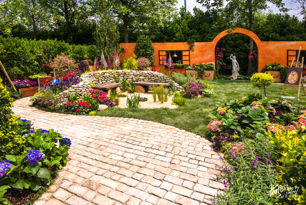 上海国际花展一览表,上海国际花展一览