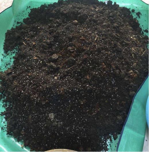 绣球换盆用营养土需要加田园土吗,墨兰换盆用营养土和菜园土可以吗