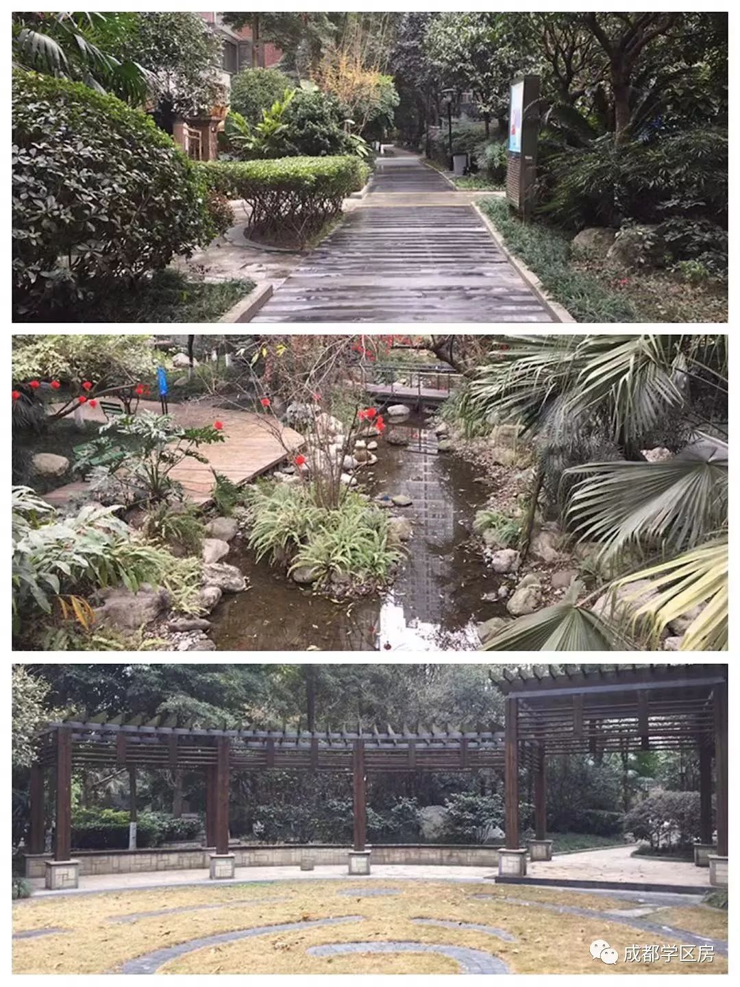 和泡小非常像的一个分校之最全盘点！​