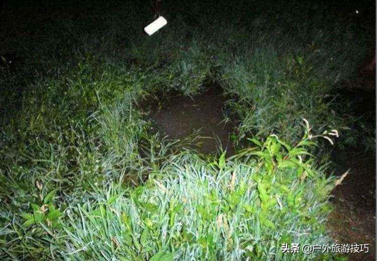 夜钓怎样防蛇进身边,夜钓防蛇最简单方法