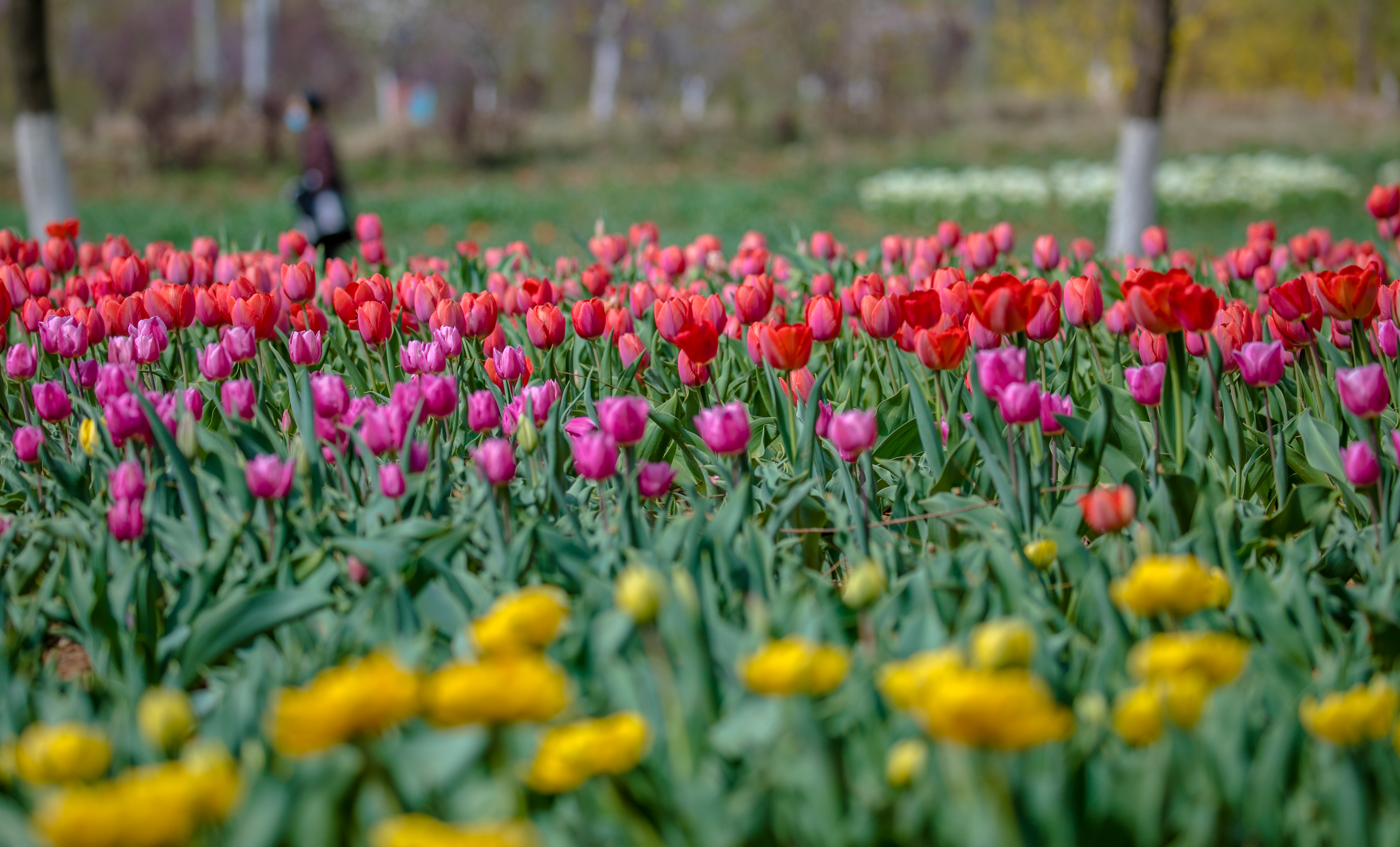 济南亲子旅游攻略二日游最佳路线,周末去哪儿亲子游济南