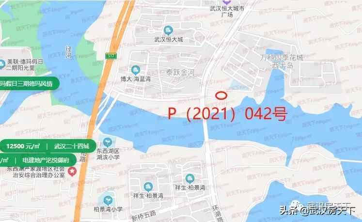 地价又创新高,左岭新地王