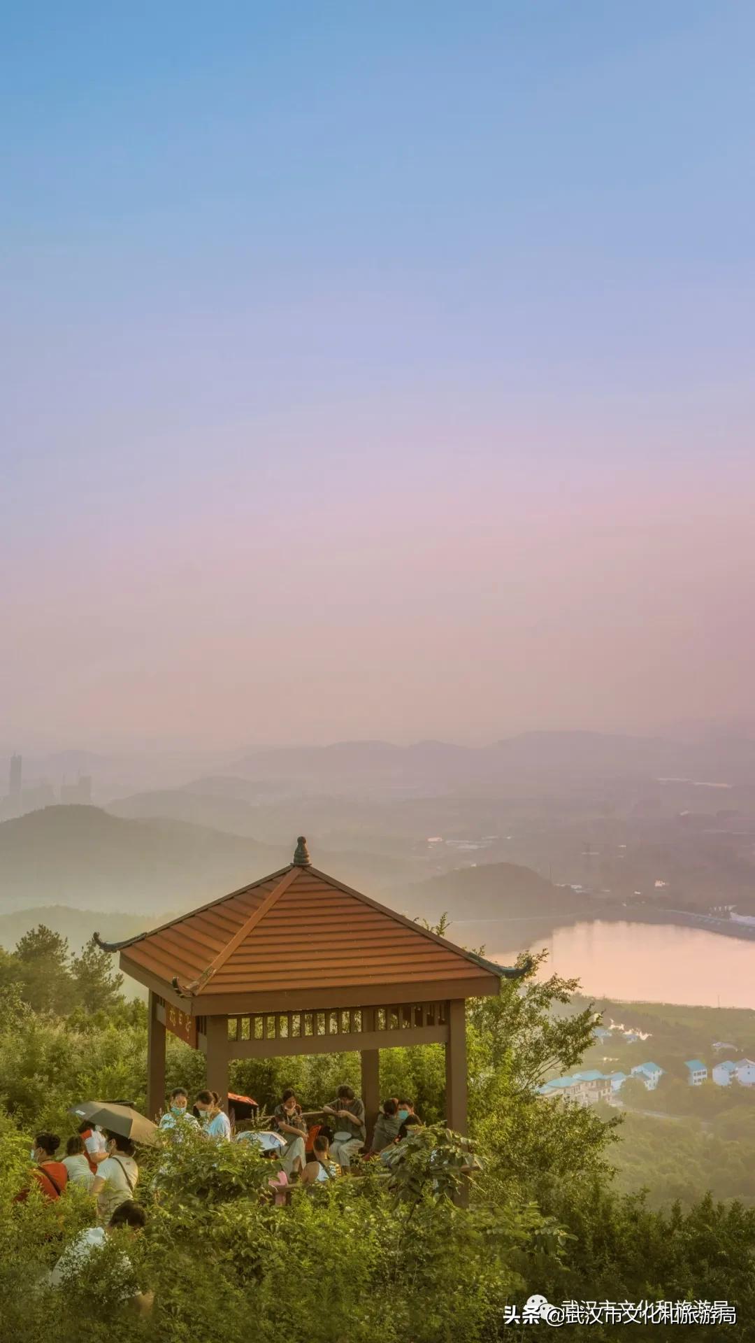 江夏面积多大,关于最美江夏的图片