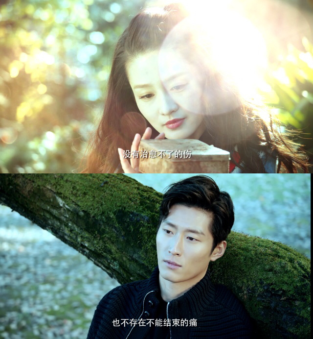 海上繁花振嵘分手,海上繁花振嵘和小苏分手