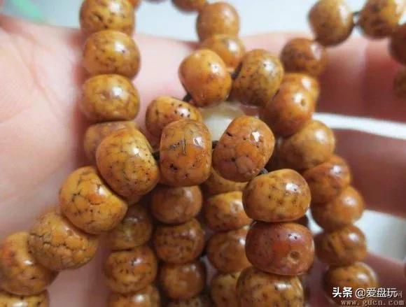 星月盘多久可开片,星月盘了几年都不开片