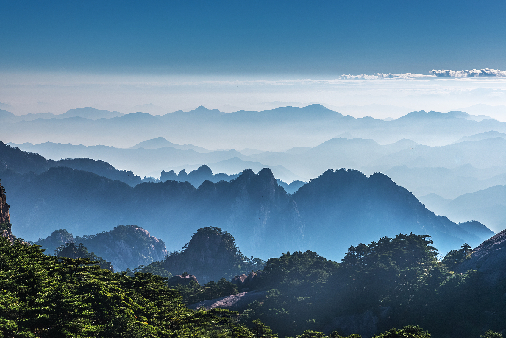 邮政储蓄银行安徽2024社会招聘,中国邮政储蓄银行安徽省分行招聘