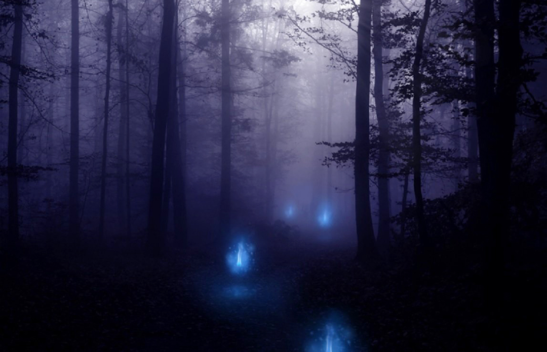 鬼火用科学怎么说,鬼火是真的吗