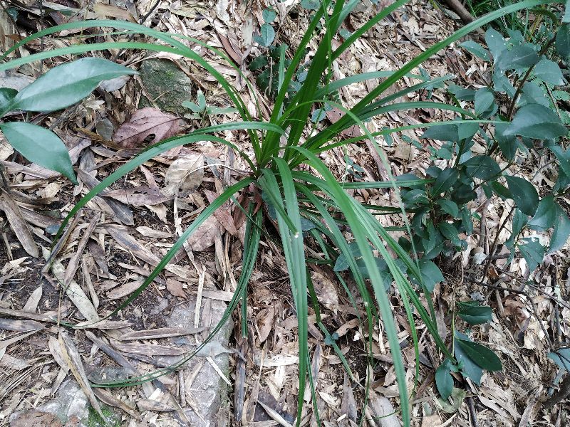 杭州市周末自驾游去哪里好玩,杭州出发周末旅游攻略