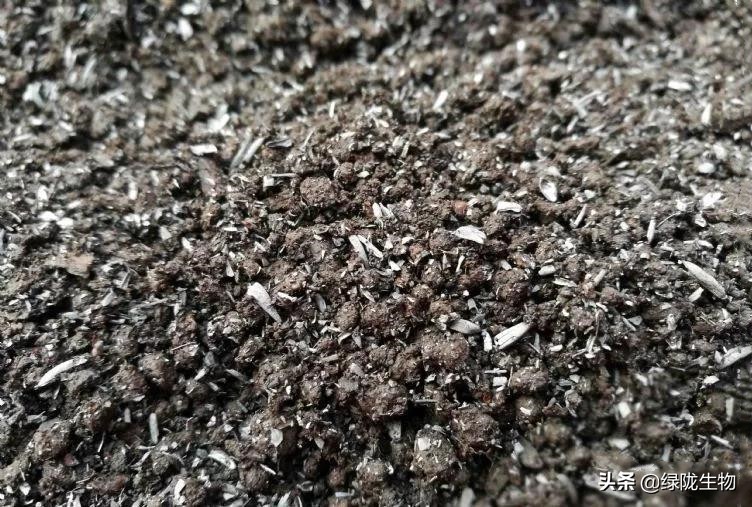 您还在花钱买“营养土”?营养土配制大全,养啥都合适!