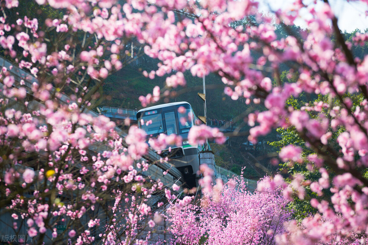 长江索道游玩重庆轨道交通2号线,重庆轨道交通2号线游玩攻略