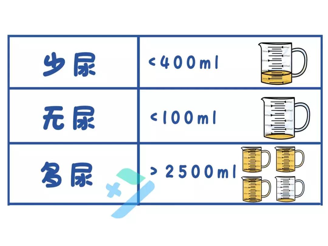 快撒泡尿，看看你的身体到底好不好