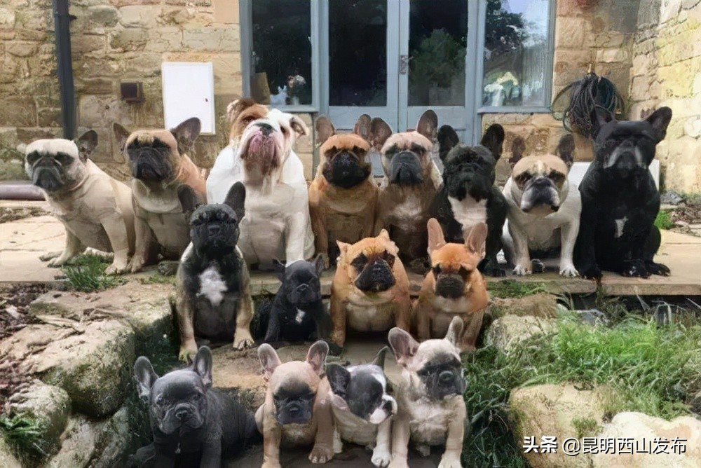 昆明人正宗吗,一句话来证明你是哪的人